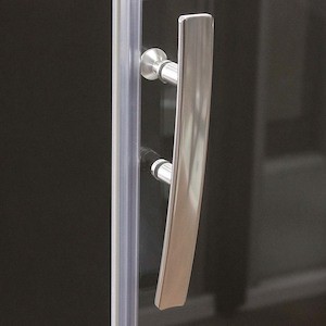 Sprchové dvere 100 cm Roth Proxima Line 525-1000000-00-15