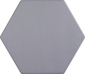 Mrazuvzdorná dlažba v šedej farbe o rozměru 15x17,1 cm a hrúbke 8 mm s matným povrchom. Vhodné do interiéru aj exteriéru.
