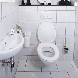 HG každodenný hygienický sprej na príslušenstvo v okolí toalety HGDHSPT