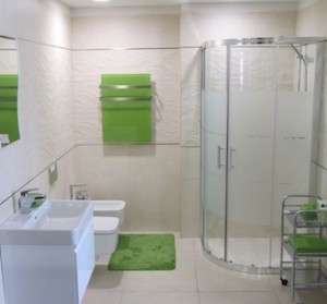 Kúpeľňová predložka Optima 90x60 cm zelená PRED008