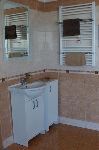 Kúpeľňová skrinka s umývadlom Multi Praxis 51,7x41,2 cm biela SPAMELIA