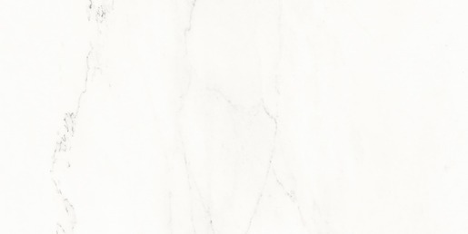 Obklad Rako Vein biela 30x60 cm mat WAKVK233.1