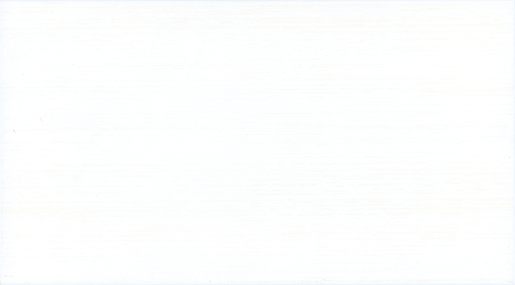 Obklad Fineza Via veneto bianco 25x45 cm mat WARP3003.1